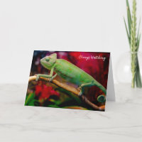 Caméléon vert sur la branche
