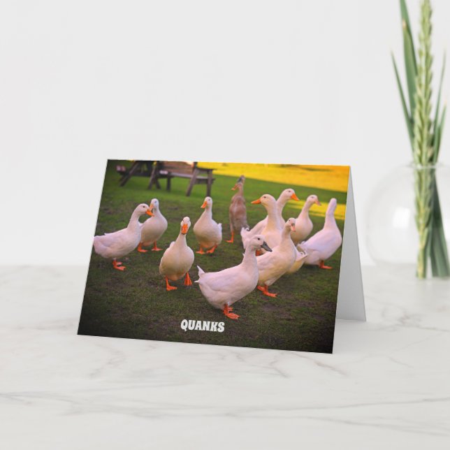 Carte De Remerciements Canards dans le parc Funny Canards Quanks (Devant)