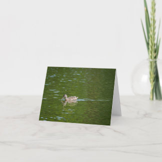 Carte De Remerciements Canards dans un lac vert (2)