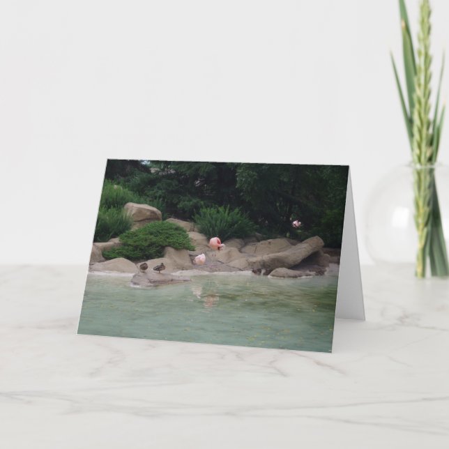 carte de remerciements "Canards et Flamants roses" (Devant)