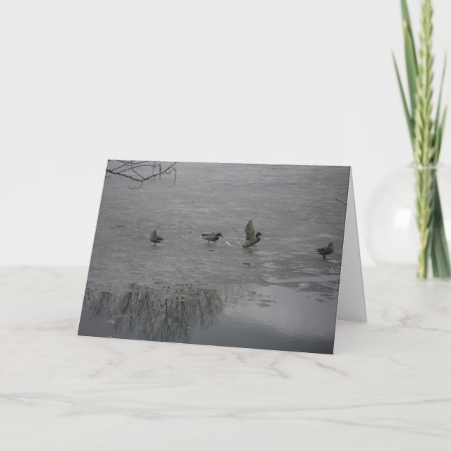 carte de remerciements "Canards sur glace" (Devant)