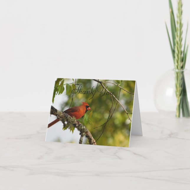 Carte De Remerciements Cardinal au printemps FL (Devant)