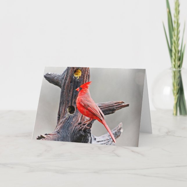 Carte De Remerciements Cardinal Blank Grey Card (Devant)