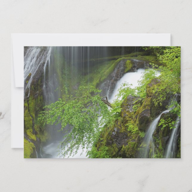 Carte De Remerciements Cascade Verte Scénique (Devant)