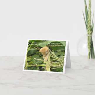 Carte De Remerciements Cat's Rule Blank Note Cards