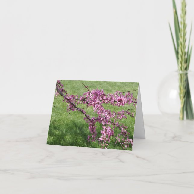 Carte De Remerciements Cercis (Devant)