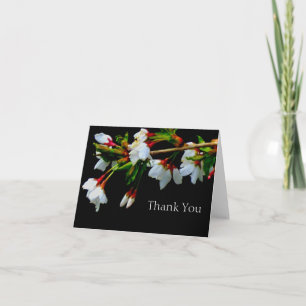 Carte De Remerciements Cerisier à fleurs blanches, fleurs blanches