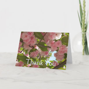 Carte De Remerciements Cerisier à Fleurs Doubles III Floraison de Printem