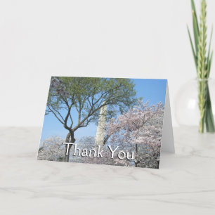 Carte De Remerciements Cerisiers en fleurs et le Monument de Washington à