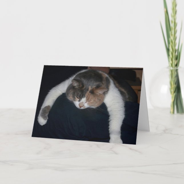 Carte De Remerciements Chat couché Cute Calico au-dessus de l'épaule (Devant)