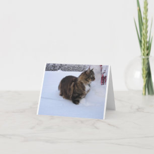 Carte De Remerciements chat des forêts norvégiennes dans la neige