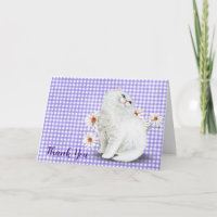 Chat et marguerite persan blanc