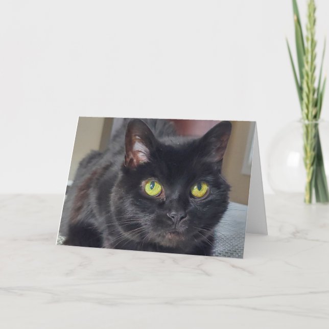 Carte De Remerciements chat noir (Devant)