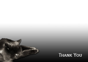Cartes De Vœux Chat Persan Zazzle Fr Cartes De Vœux Chat Persan Zazzle Fr