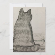 Chat qui nous surveille