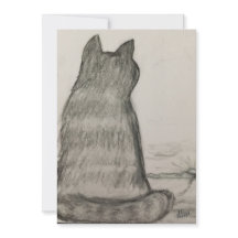 Chat Surveillant Sur Nous