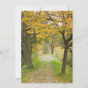 Carte De Remerciements Chemin en automne
