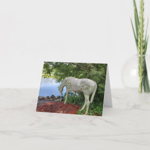Carte De Remerciements Cheval