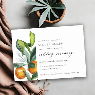 Carte De Remerciements Chic Citrus Orange Botanical Mariage Boho Invitati