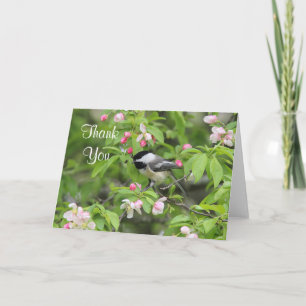 Carte De Remerciements Chickadee and spring blossoms
