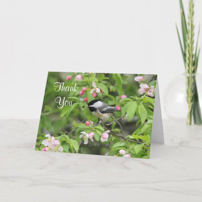 Carte De Remerciements Chickadee and spring blossoms (Devant)