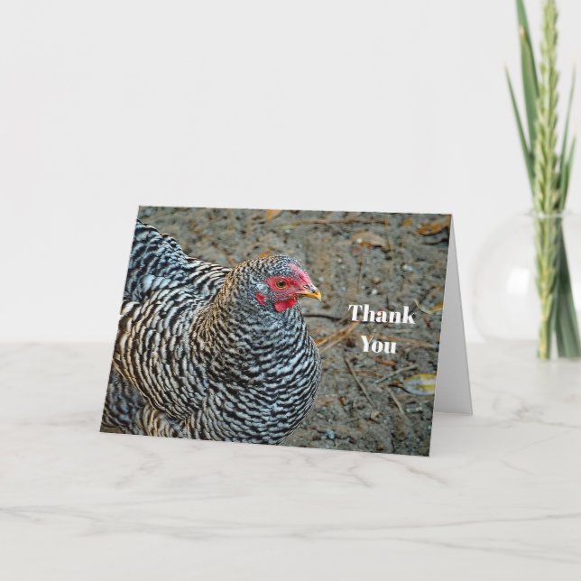 Carte De Remerciements Chicken Black and White Hen Photo (Devant)