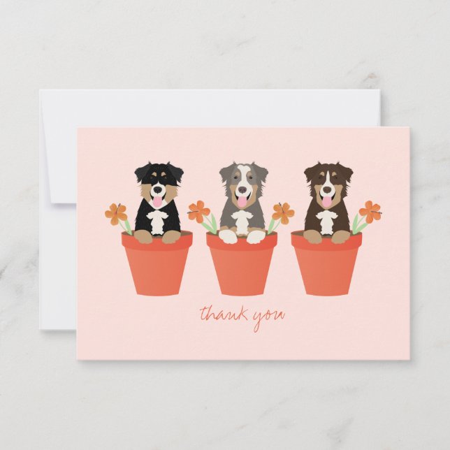 Carte De Remerciements Chien Berger Australien Dans Un Pot De Fleurs  (Devant)
