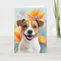 Chien Jack Russell avec des Pavots Orange
