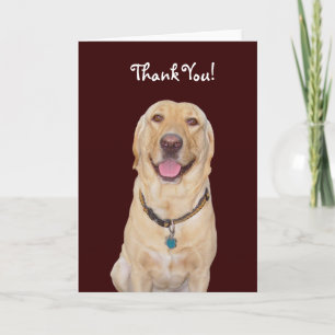 Carte De Remerciements Chien / Lab "Merci" personnalisable !