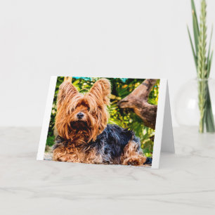 Carte De Remerciements Chien mignon animal de compagnie Yorkie Peace Love