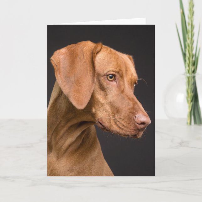 Carte De Remerciements Chien sportif Vizsla (Devant)