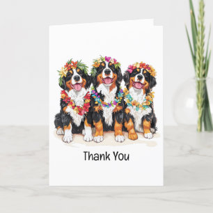 Carte De Remerciements Chiens de montagne bernois Merci-Hawaï