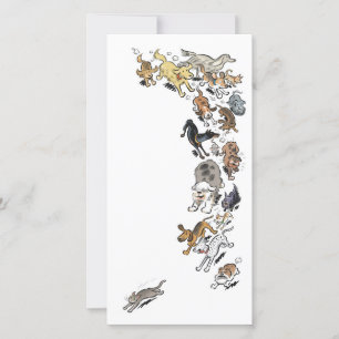 Carte De Remerciements Chiens pourchassant le chat