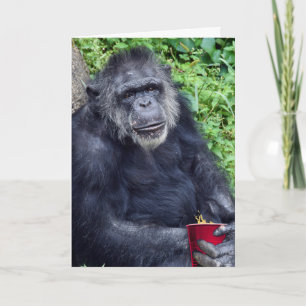 Carte De Remerciements Chimpanzé d'anniversaire avec la Coupe Rouge