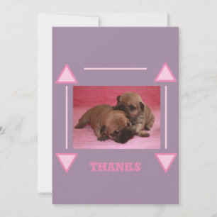 Carte De Remerciements Chiot Bouledogue Français French Bulldog
