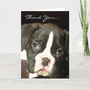 Carte De Remerciements Chiot de boxer Brindle