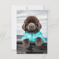 Chiot de la secourt d'eau