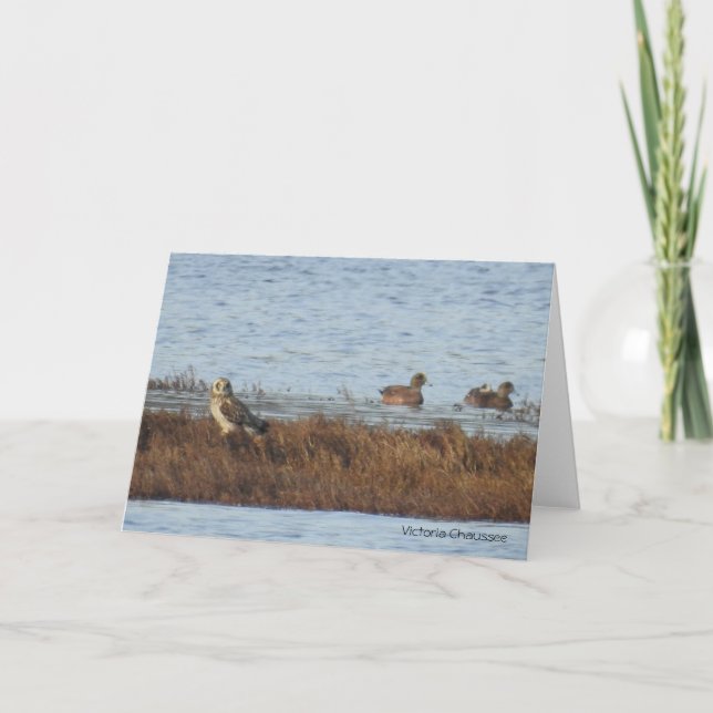 Carte De Remerciements Chouette à oreilles courtes avec Wigeon (Devant)