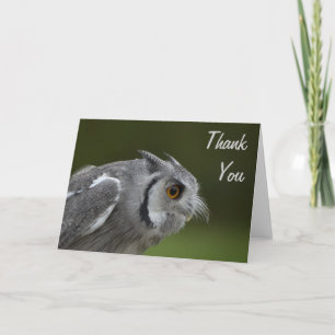 Carte de remerciements - Chouette gris bébé