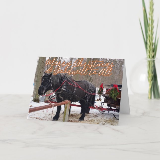 Carte De Remerciements Christmas Blessings of Hope, Joy, Peace and Love  (Devant)