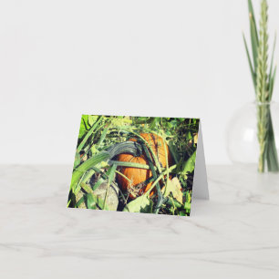 Carte De Remerciements Citrouille Sur Vine Nature Note Personnalisable