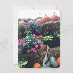 Carte De Remerciements Citrouilles d'Halloween d'automne