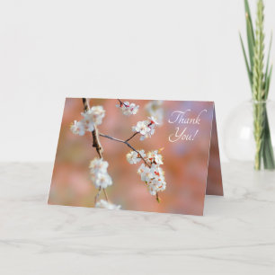 Carte De Remerciements Clusters De Fleurs Japonaises D'Apricot