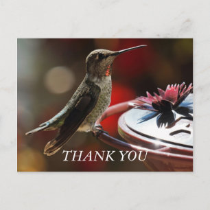 Carte de remerciements colibri