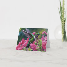 Colibri visitant mon panier de fleurs