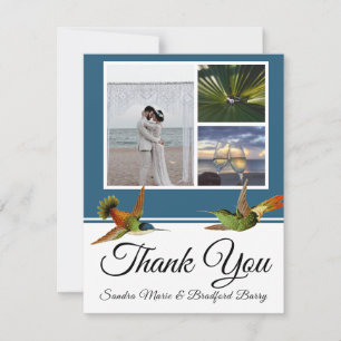 Carte De Remerciements Collage de photos de mariage élégant colibri bleu