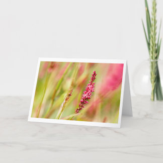 carte de remerciements colorbush
