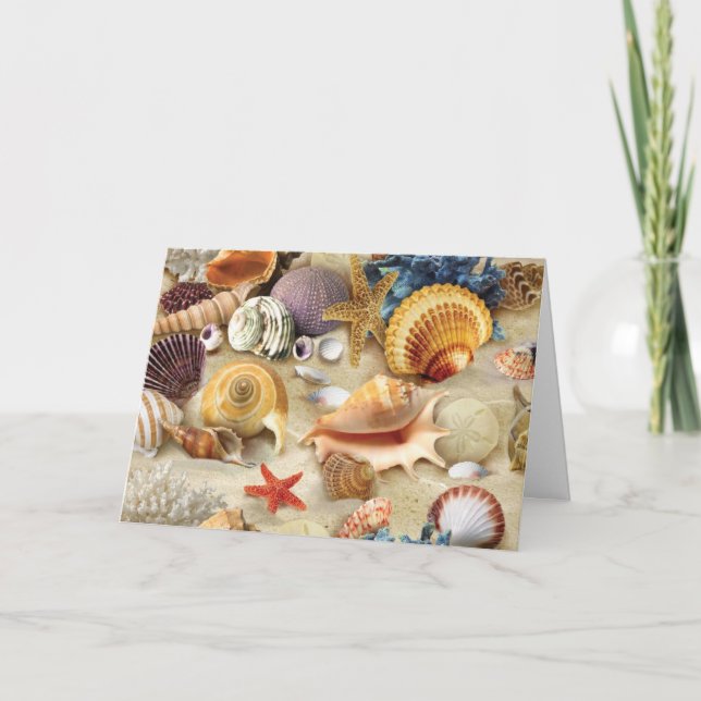 Carte De Remerciements Coques de mer sur la plage (Devant)