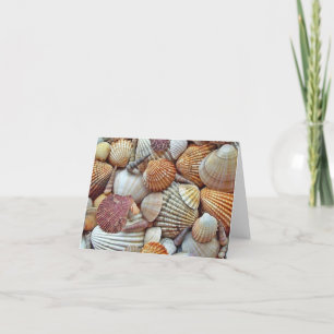 Carte De Remerciements Coques de mer vides à l'intérieur