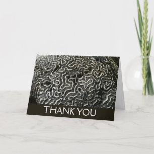 Carte De Remerciements Corail noir et blanc II Abstrait Nature Photo